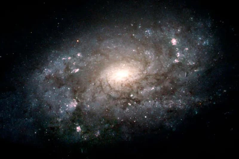 Black Holes Preceded Galaxies, Solving Cosmology’s Origin Puzzle