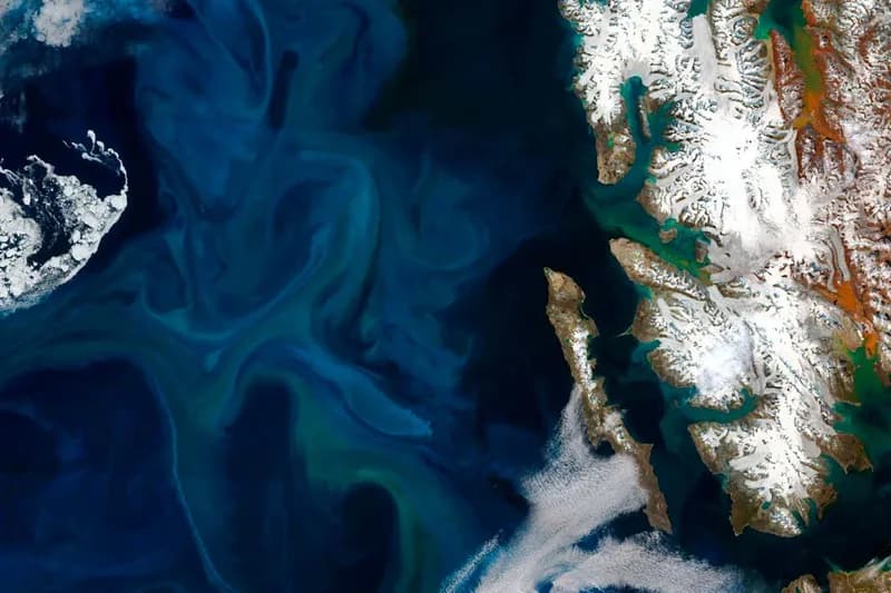 Arctic Ocean Tipping Point Threatens Marine Food Chain