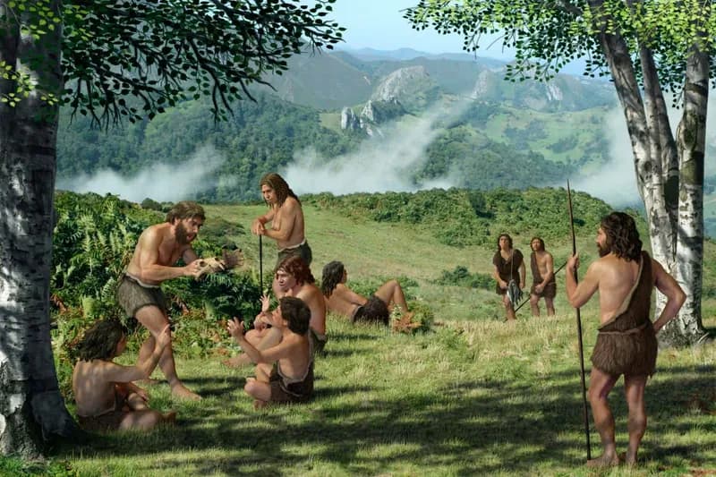 Late Neanderthals Show Unexpected Genetic Diversity