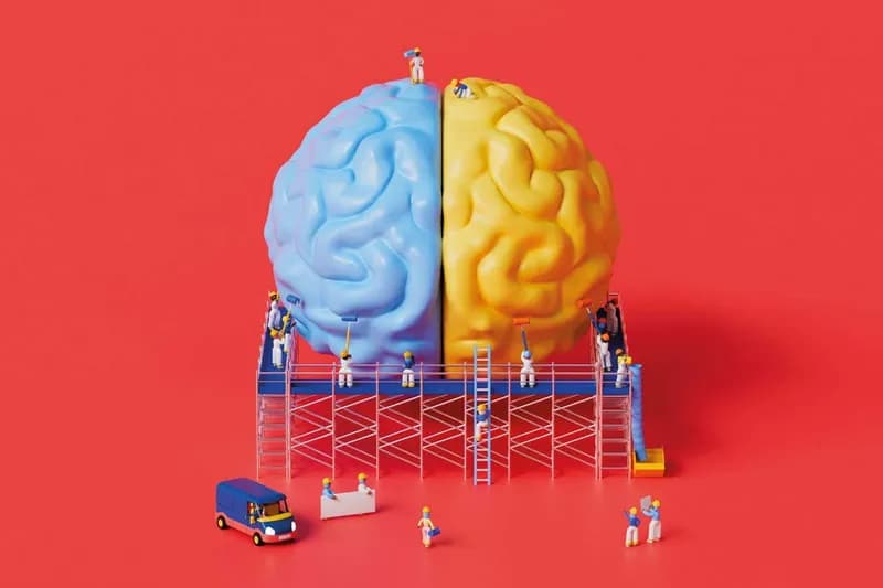 New Insights Into Brain Recovery After Stroke