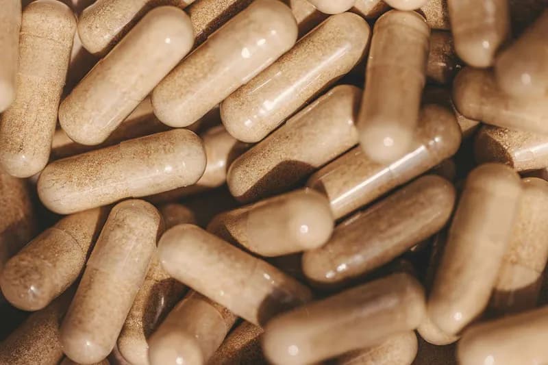 Studiul prebioticelor, probioticelor și postbioticelor pentru sănătatea digestivă la vârstnici