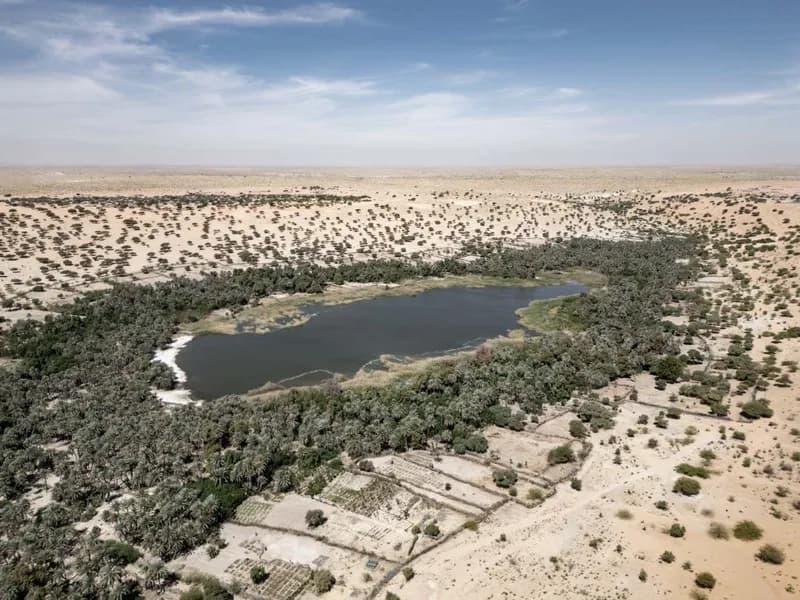 Eseu foto evidențiază amenințarea de nisip la adresa oazelor din Sahara