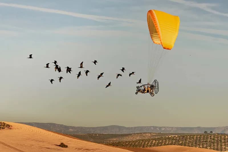 Student câștigă premiul Nature pentru Fotografia „Scientist la Muncă” cu o Imagine a Cucuvelei Ăsuroaice