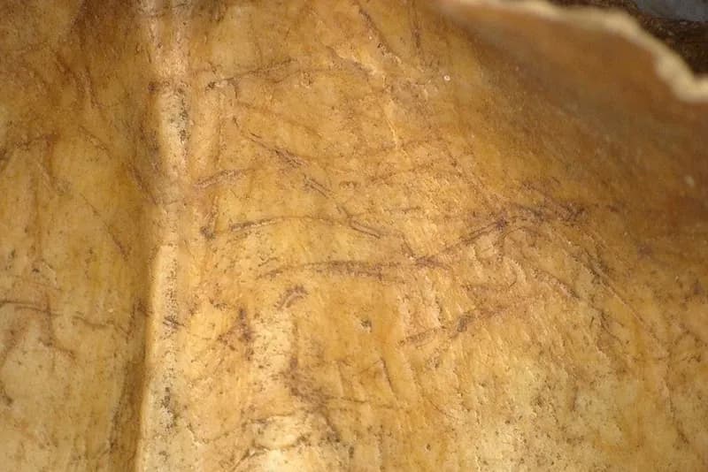 Evidence Suggests Iron Age Britons Practiced Brain Removal in Funerary Rituals