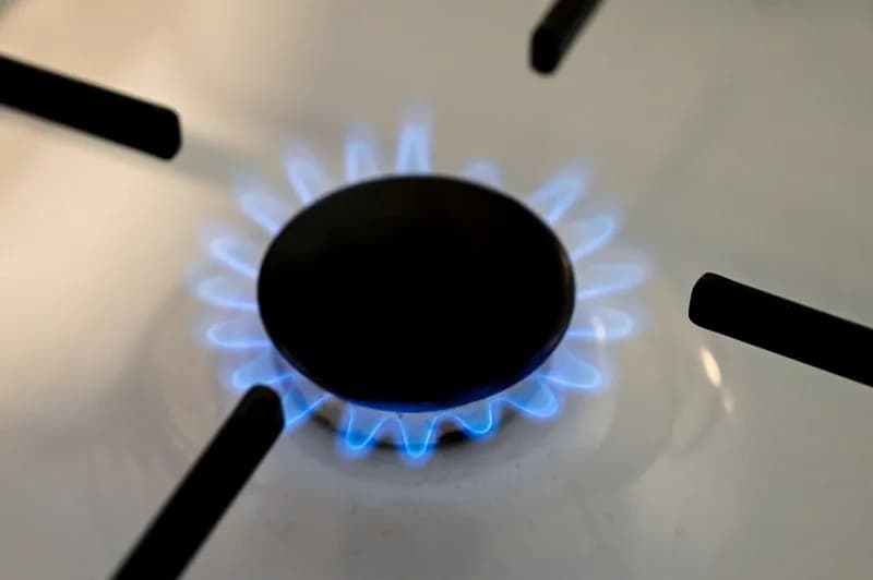 Rețeaua de gaze a Franței: Un ecou scump al tranziției energetice?