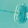 Europeans Broadly Back State-Funded Fertility Care & Embryo Research, Survey Finds