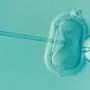 Europeans Broadly Back State-Funded Fertility Care & Embryo Research, Survey Finds