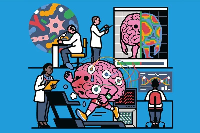 A New Generation of Tests to Measure Brain Health
