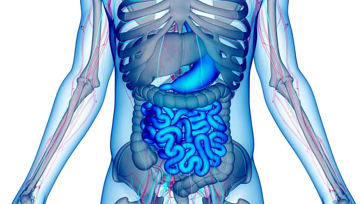 Măsurarea invizibilului: Evoluția dozimetriei interne în siguranța radiologică