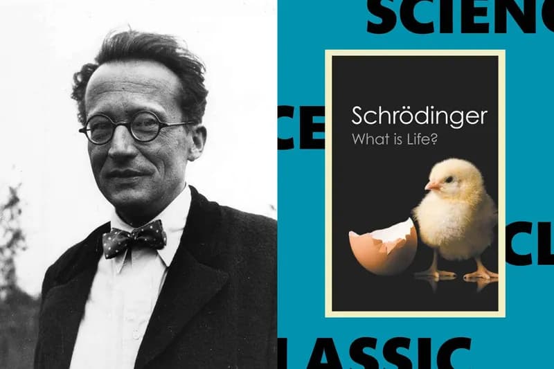 Moștenirea durabilă a lucrării lui Erwin Schrödinger, „Ce este viața?”