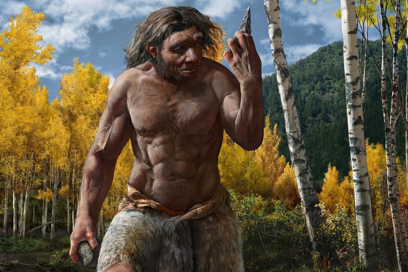 The Growth of Humanity: How We Became Twice as Large as Our Ancestors