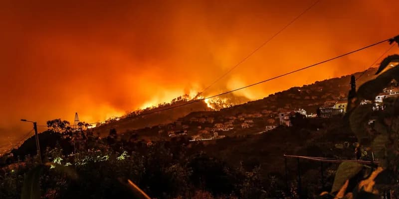 Tarifele propuse pentru Canada ar putea avantaja indirect politicile climatice