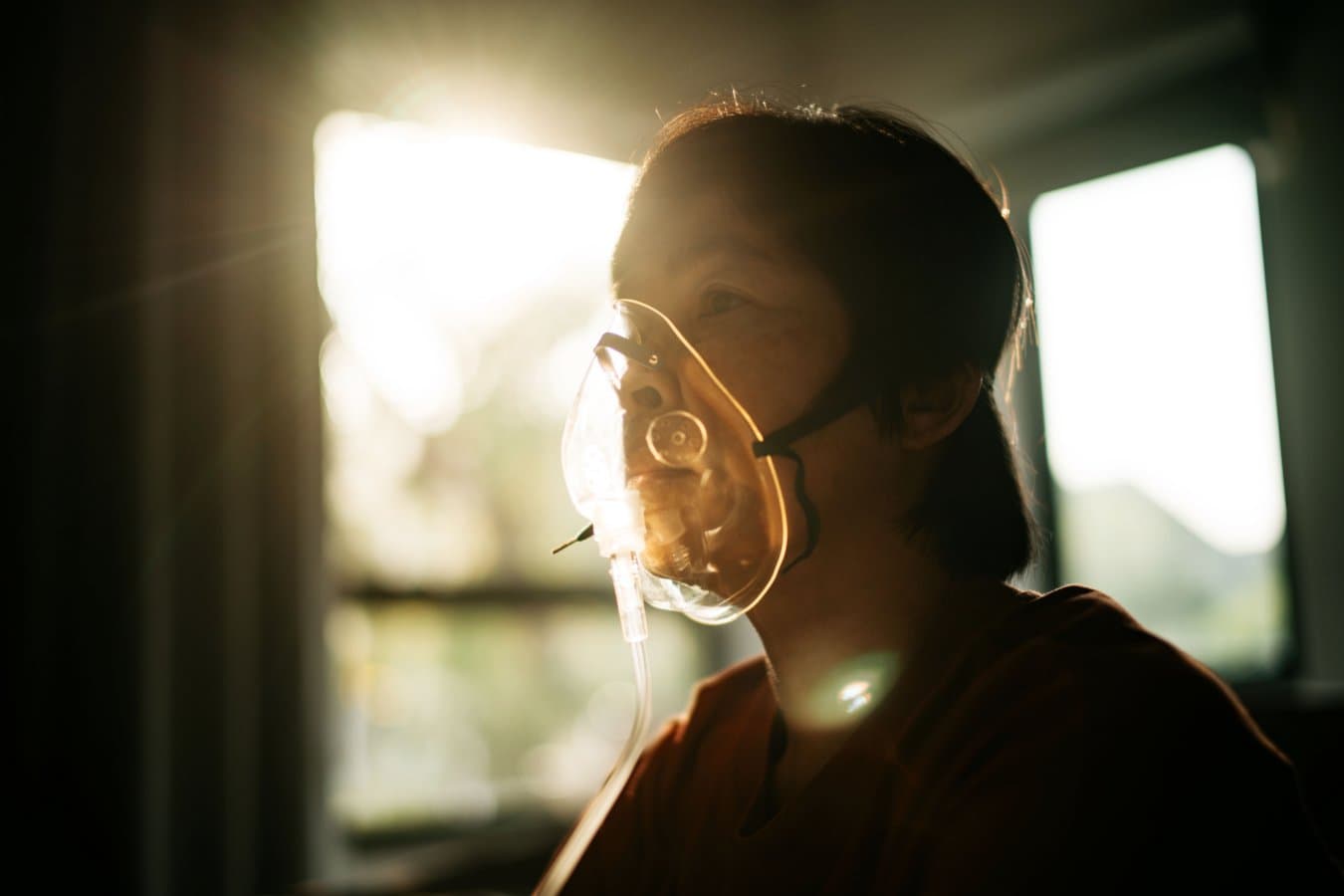 High-Dose Carbon Dioxide Inhalation May Clear Alzheimer's Proteins