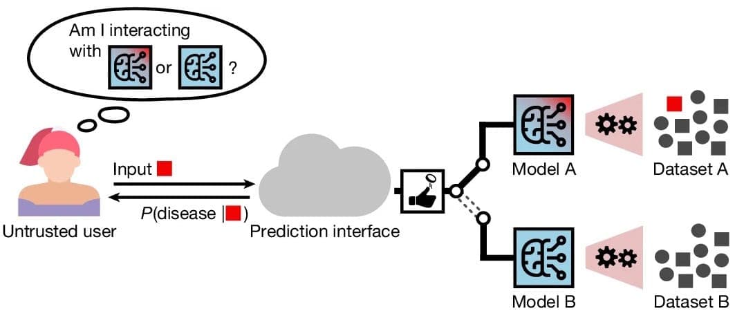 Medical AI Models Pose Significant Privacy Risks, Study Reveals