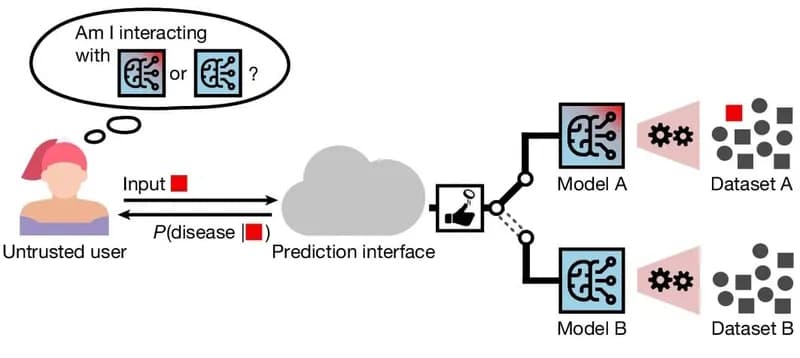 Medical AI Models Pose Significant Privacy Risks, Study Reveals