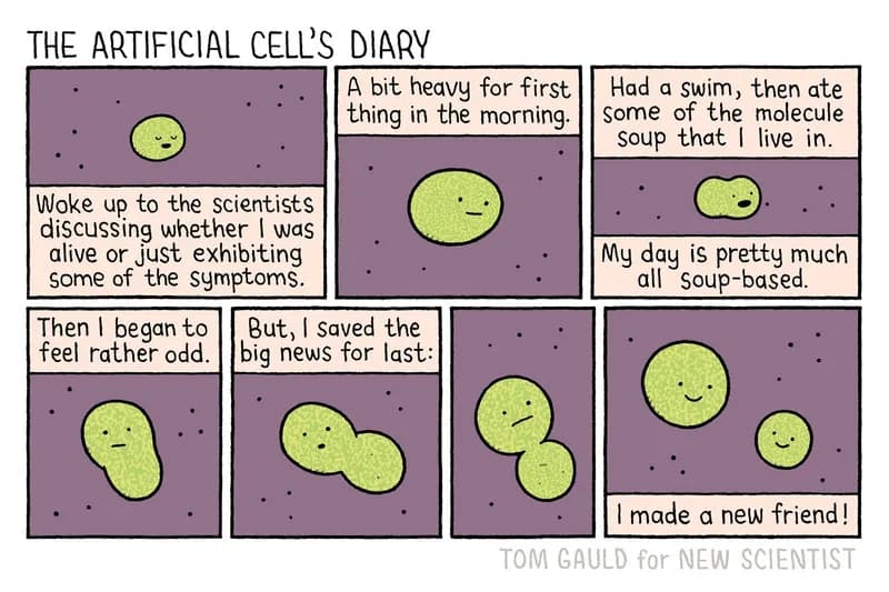 A Satirical Look at Artificial Cells Through the Lens of Tom Gauld