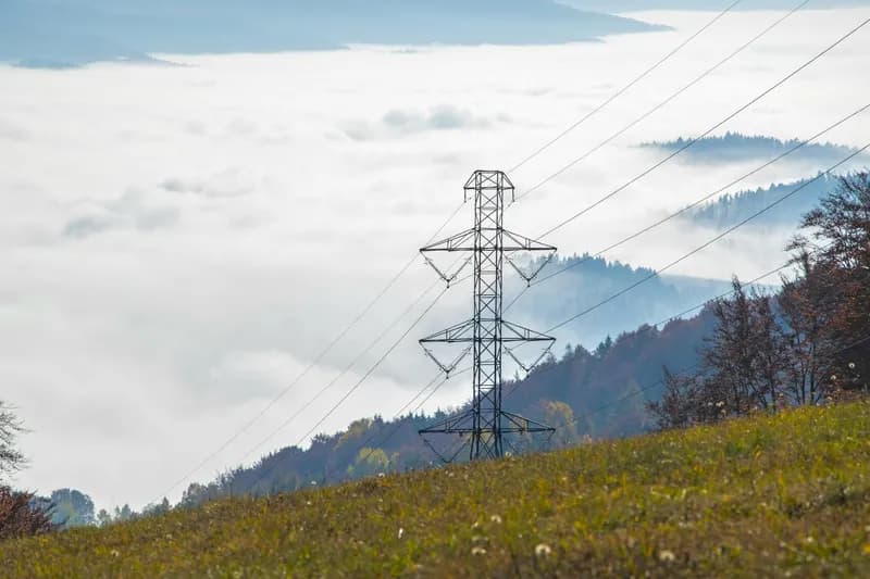 Renewables Set to Overtake Coal Amid Surging Global Power Demand