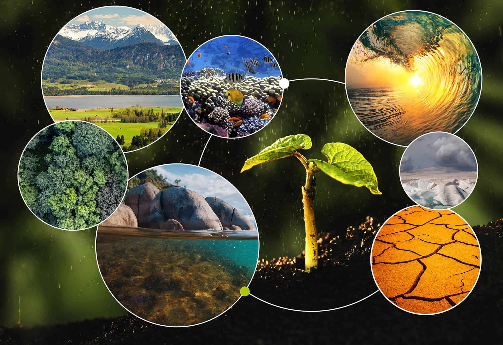 Environmental Research: Examining Five Years of Climate Science Evolution