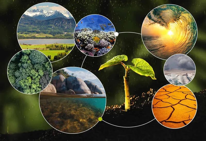 Environmental Research: Examining Five Years of Climate Science Evolution