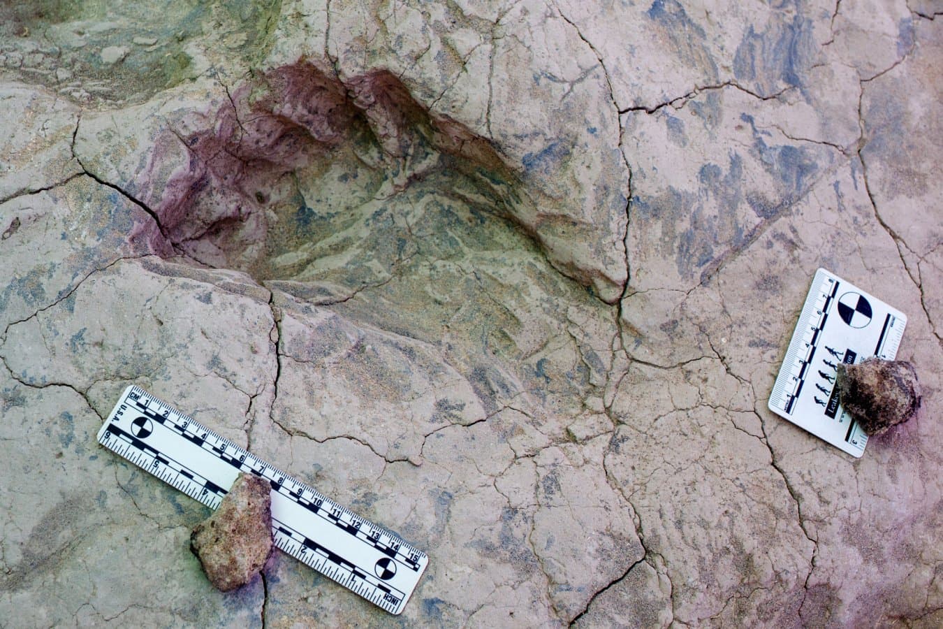 Ancient Footprints Reveal Mystery Hominin Presence in Africa