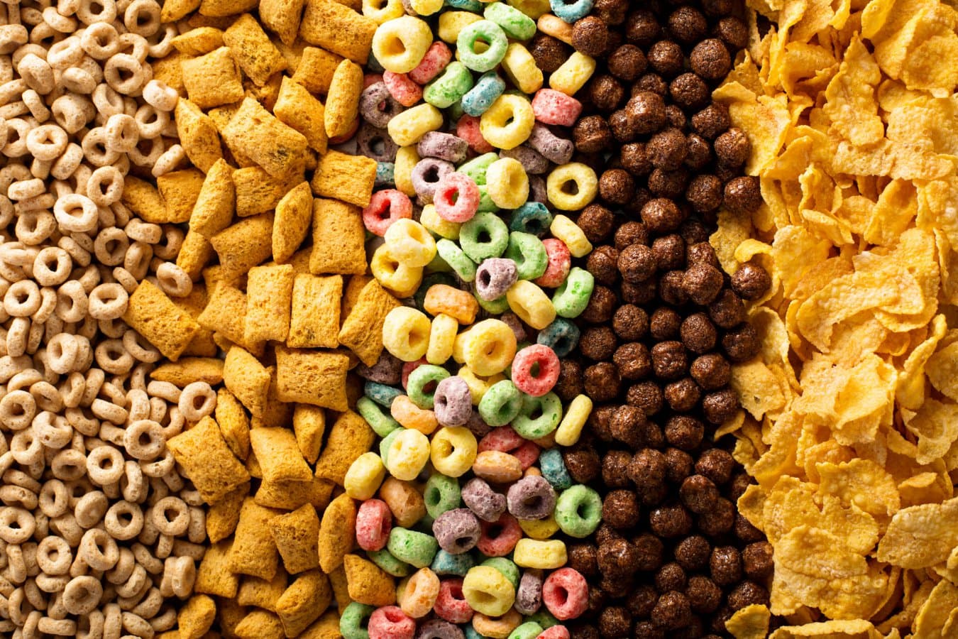 Nutrition Policy: Why Adult Diets Matter as Much as Childhood Habits