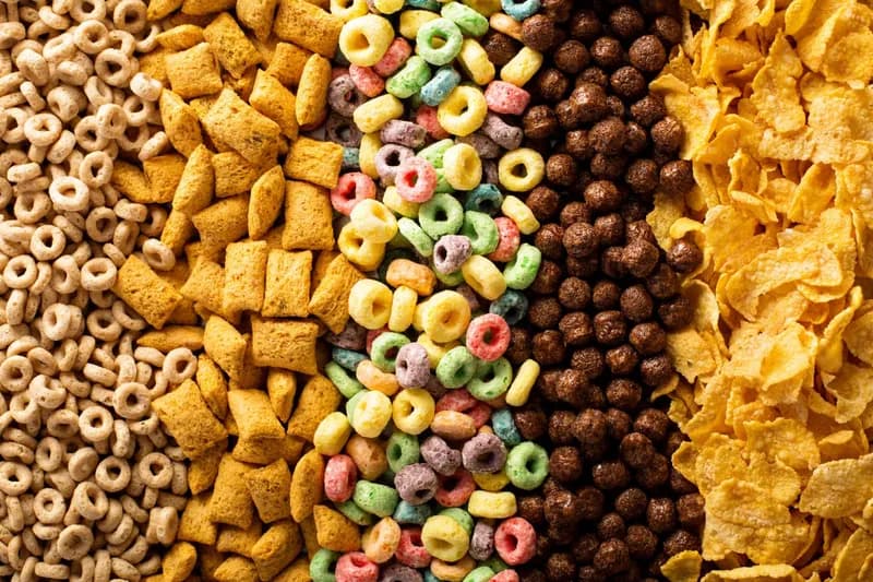 Nutrition Policy: Why Adult Diets Matter as Much as Childhood Habits