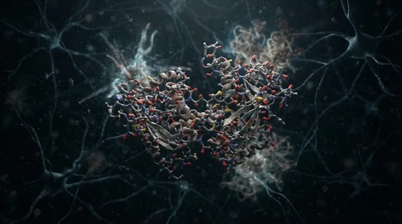 Descoperirea unei noi peptide oferă speranțe în lupta împotriva neurodegenerării
