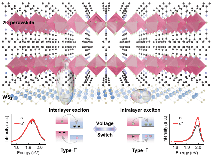 Salt cosmic: Un nou material hibrid controlează transportul excitonilor prin voltaj