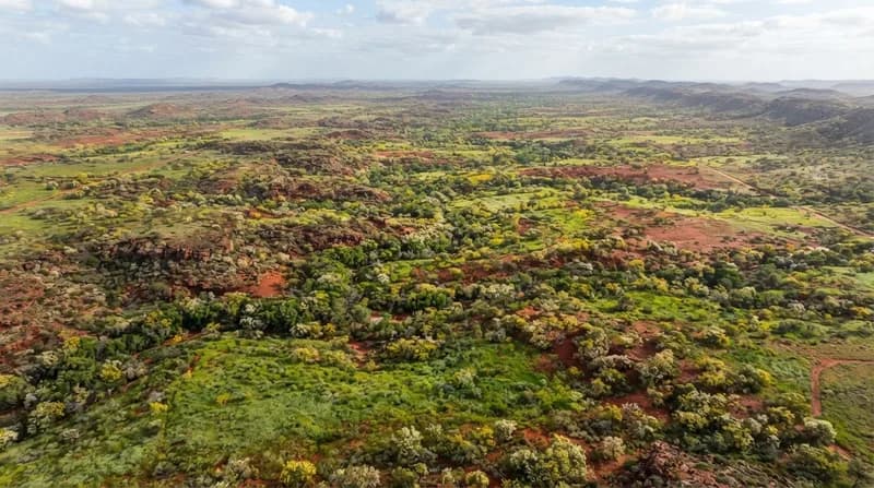 Satellite Imagery Reveals Australia’s Red Outback Transformed into a Botanical Paradise