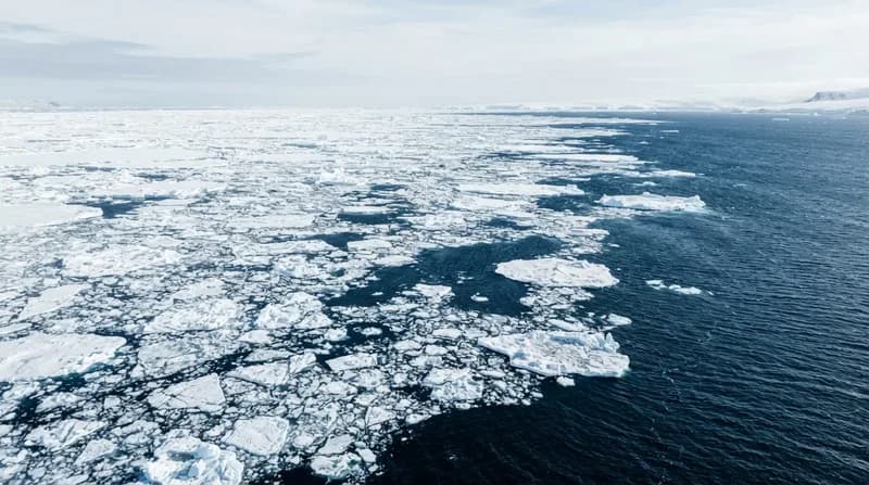 Antarctic Sea Ice: A Critical Shift in the Frozen Frontier